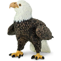 Bald Eagle figurine with detailed feathers, a white head, yellow beak, and black talons, suitable for educational purposes.
