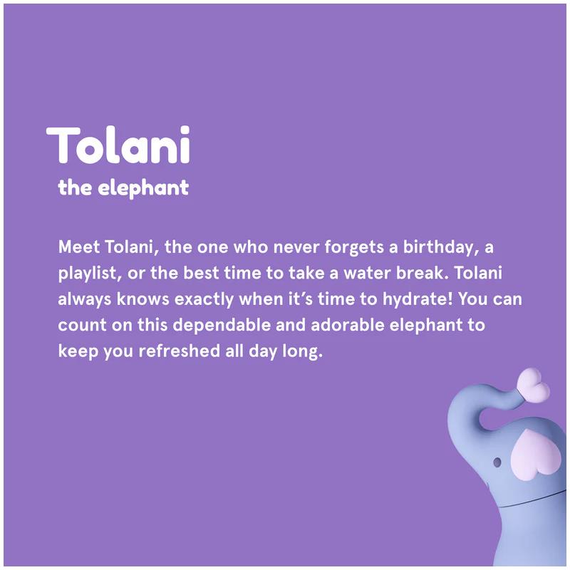 Stainless steel water bottle with a silicone-top elephant design, named Tolani, emphasizing hydration and cuteness.