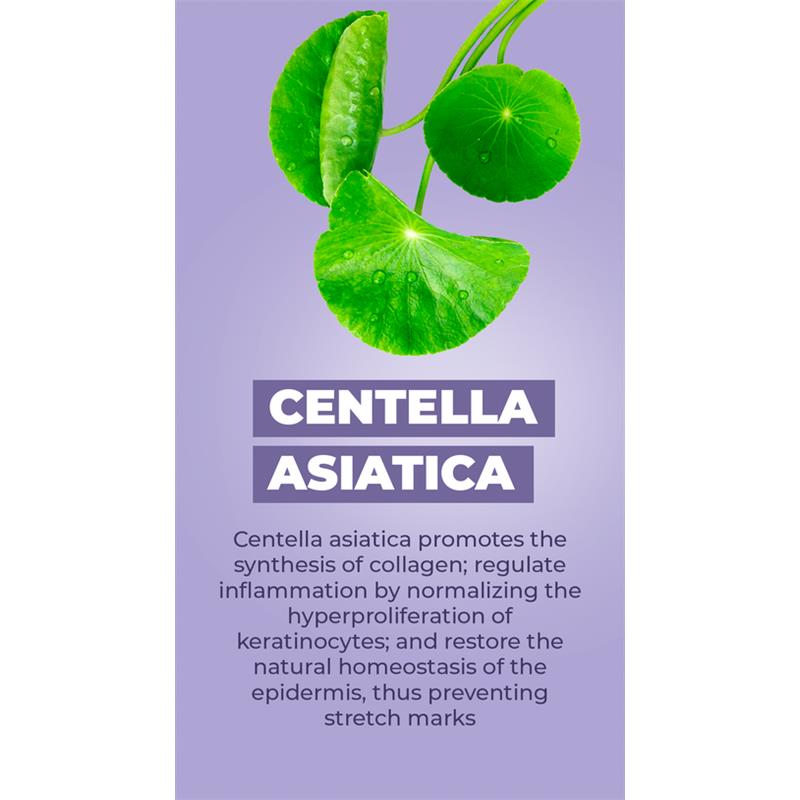 Centella Asiatica graphic highlighting its benefits for collagen synthesis and stretch mark prevention.