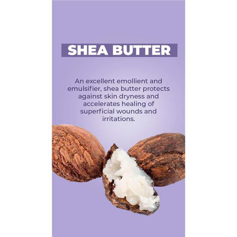 Shea butter nuts with a cut nut revealing soft shea butter, on a purple background with text explaining its benefits.