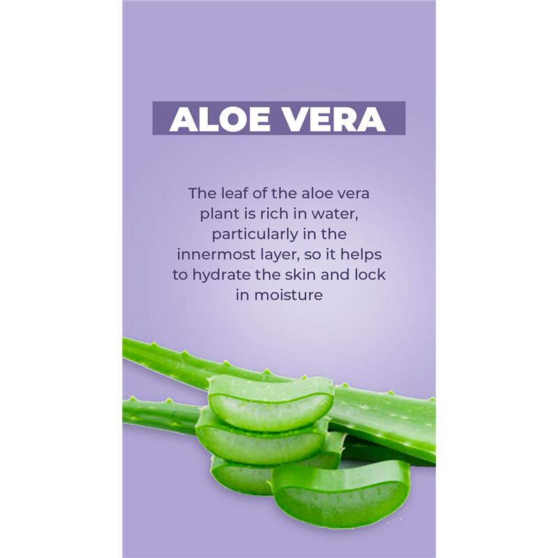 Aloe vera leaves with text explaining their moisture-rich properties for skin hydration.