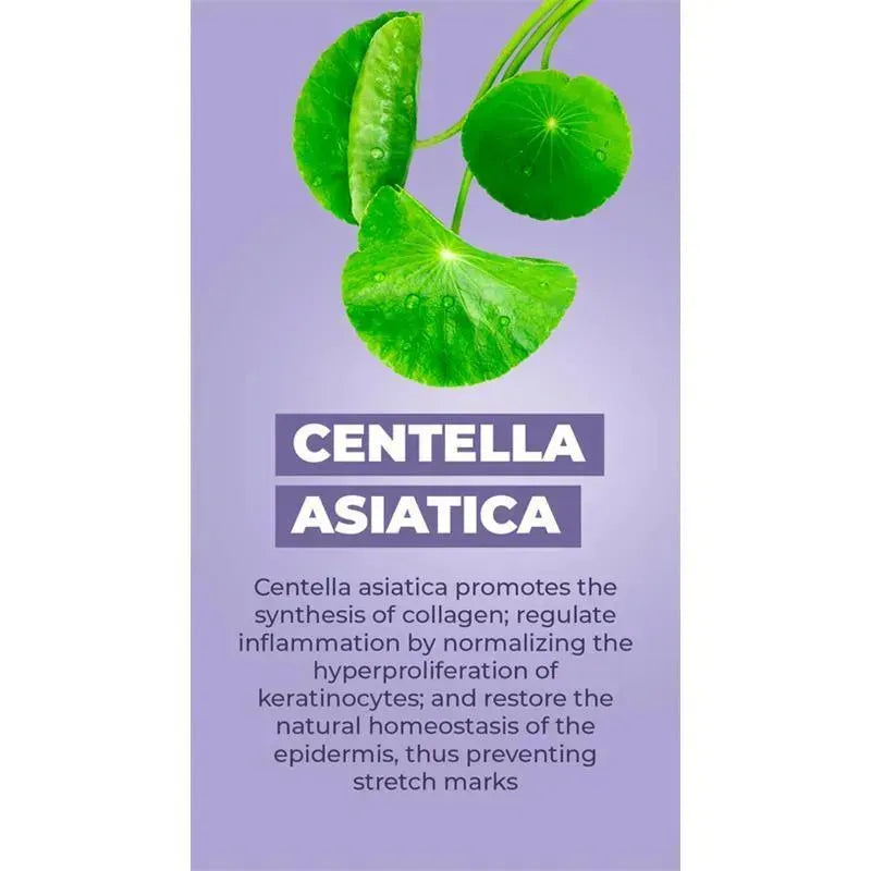 Green leaves of Centella asiatica on a purple background, with text detailing its benefits for skin and collagen synthesis.
