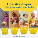 One-size Charlie Banana Aviator reusable cloth diaper shown on babies from 0 to 36 months, highlighting growth adaptability.