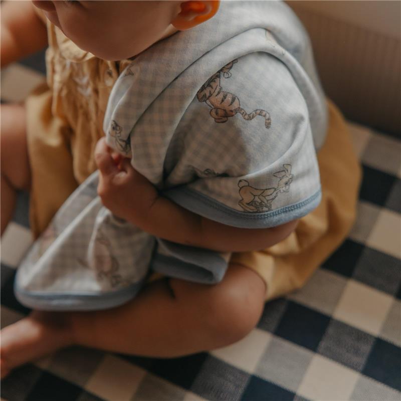 Copper Pearl - 3Pk Hundred Acre Wood Security Blanket Image 5