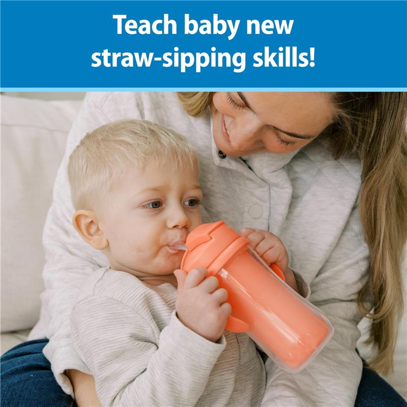 Dr. Brown's 2Pk Milestones Insulated Sippy Cup with Straw and Handles, Pink/Coral, 10 Oz/300 ml Image 2