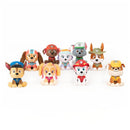 Plush toy figures of PAW Patrol characters, including Zuma in water rescue uniform, displayed in a row.