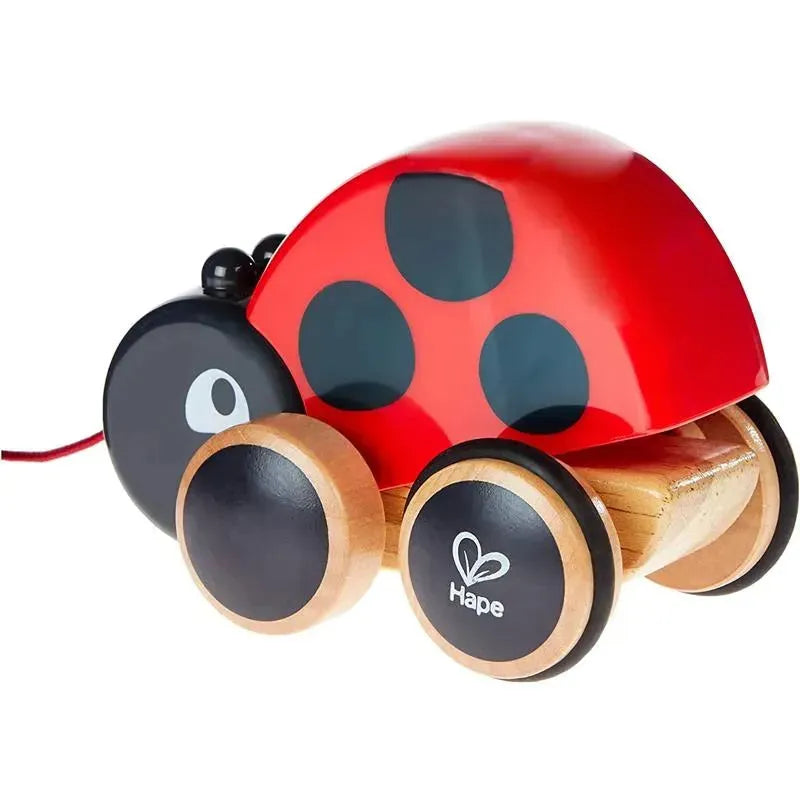 Bright red ladybug pull-along toy by Hape with black spots and wooden wheels.