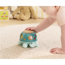 Baby reaches out to touch the Hape Music Turtle, a musical toy featuring colorful musical notes and a friendly design.