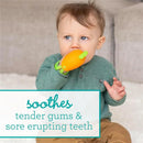 Infantino Handy Dandy Teething Mitt in the shape of a carrot being used by a child to soothe sore gums while teething.