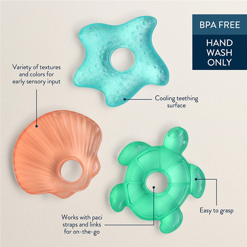 Water-filled teether 3-pack featuring a starfish, shell, and turtle design, safe for babies and designed for sensory input.