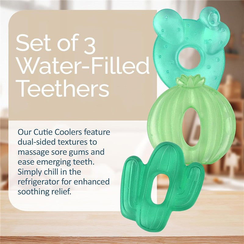 Set of 3 cactus-themed water-filled teethers featuring dual-sided textures for soothing sore gums.