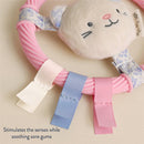 Itzy Ritzy teething ring featuring a plush kitty head, pink ring, and colorful tags to soothe sore gums.