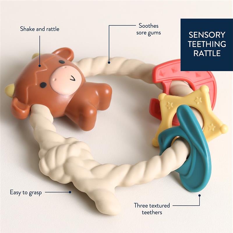 Silicone teether and rattle in the shape of a Highland cow with three textured teething surfaces, designed for soothing sore gums.