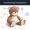 Soft bear plush toy with baby-safe embroidery, minky fabric, and textured ribbons for sensory engagement, measuring 10.5 x 10 inches.
