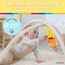Multi-sensory activity toy featuring a baby reaching for a Winnie the Pooh plush, designed for sensory development and hand-eye coordination.