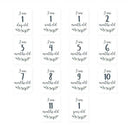 Mary Meyer - Lulujo Baby’s First Year Blanket & Cards Set, “Hello World” Image 2