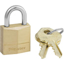 Brass Master Lock with a silver shackle beside two keys, all designed for secure locking solutions.