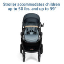 Maxi-Cosi Zelia Pro 5-in-1 Travel System in SeaScape, featuring a stroller with a comfortable seat and a wooden handle.