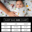 Disney Princess baby sleep bag worn by an infant; includes a size chart for ages 0-6 months and 6-18 months.