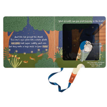Illustrated flashlight book featuring woodland scenes, raccoons, and interactive text about nighttime animals.