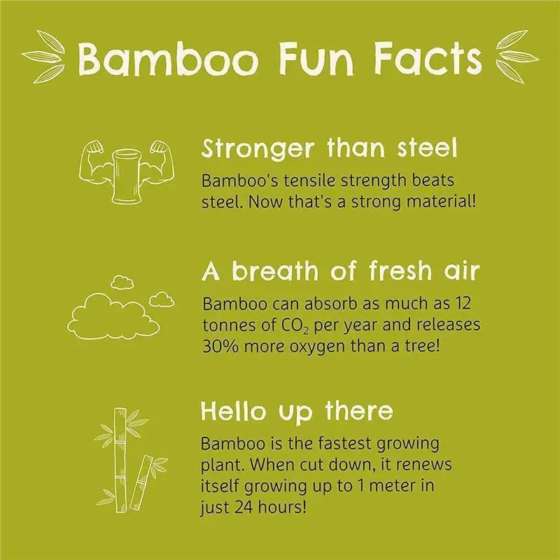 Bamboo fun facts highlighting its strength, CO2 absorption, and rapid growth on a green background.