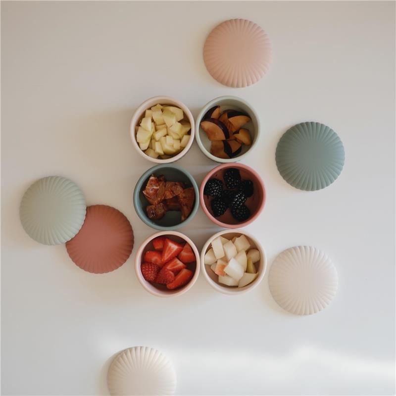 Silicone baby food containers in pink and blue, arranged with various fruits inside, each container has a matching lid.