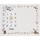 Milestone blanket featuring a calendar with numbers 1-12, an owl, stars, and a Gryffindor crest, designed for memory-making.