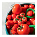Tomato rattle toy by Oli & Carol, featuring various sizes of red tomatoes in a turquoise bowl with green stem details.