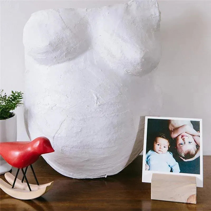 Belly casting kit displayed with a white plaster belly cast, a potted plant, a red wooden bird, and a photo of two children.
