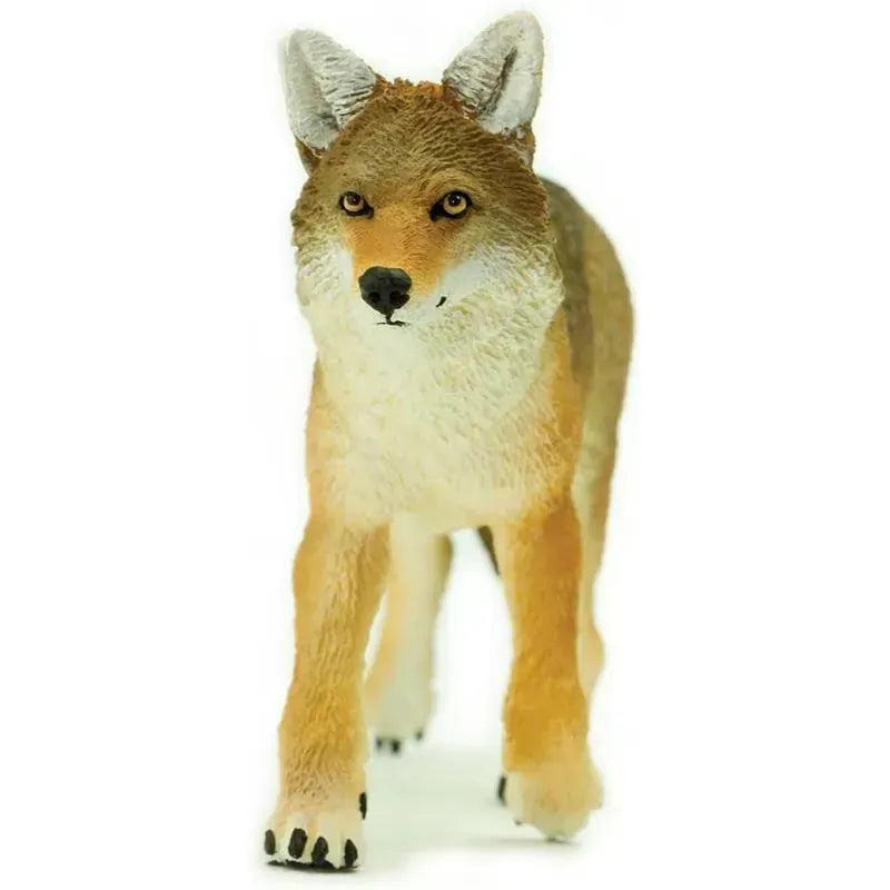 Detailed 6.5-inch Coyote toy figurine by Safari Ltd, featuring realistic textures and colors.