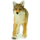 Detailed 6.5-inch Coyote toy figurine by Safari Ltd, featuring realistic textures and colors.