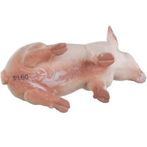 Sitting Piglet model by Safari Ltd, featuring realistic detailing with pink and white coloring.