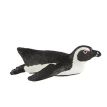 South African penguin figurine from Safari Ltd, featuring realistic black and white coloring and a detailed design.