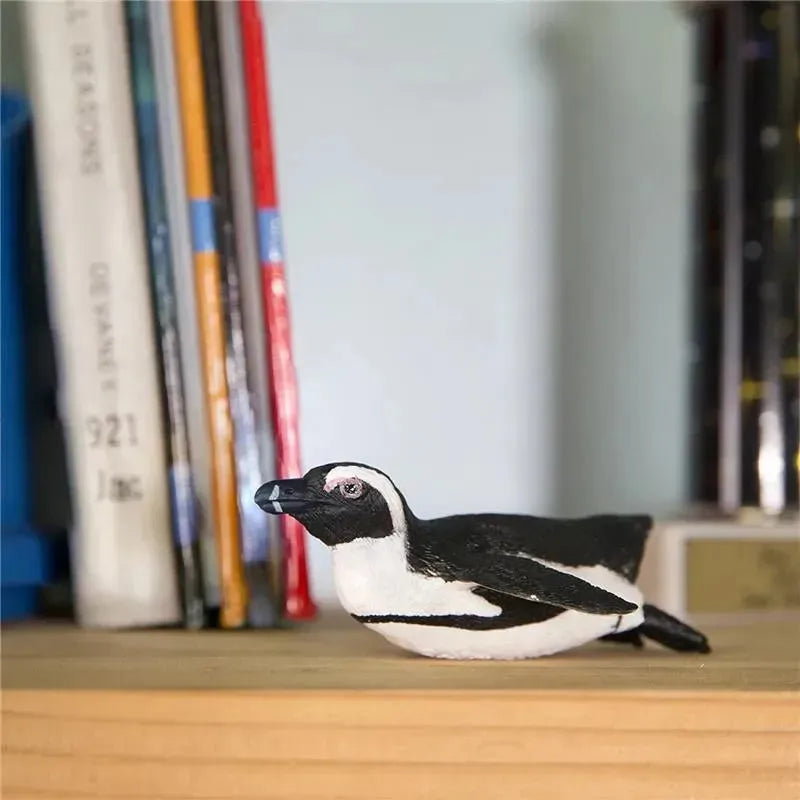 Safari Ltd South African Penguin figure on a wooden shelf, with colorful books and objects in the background.