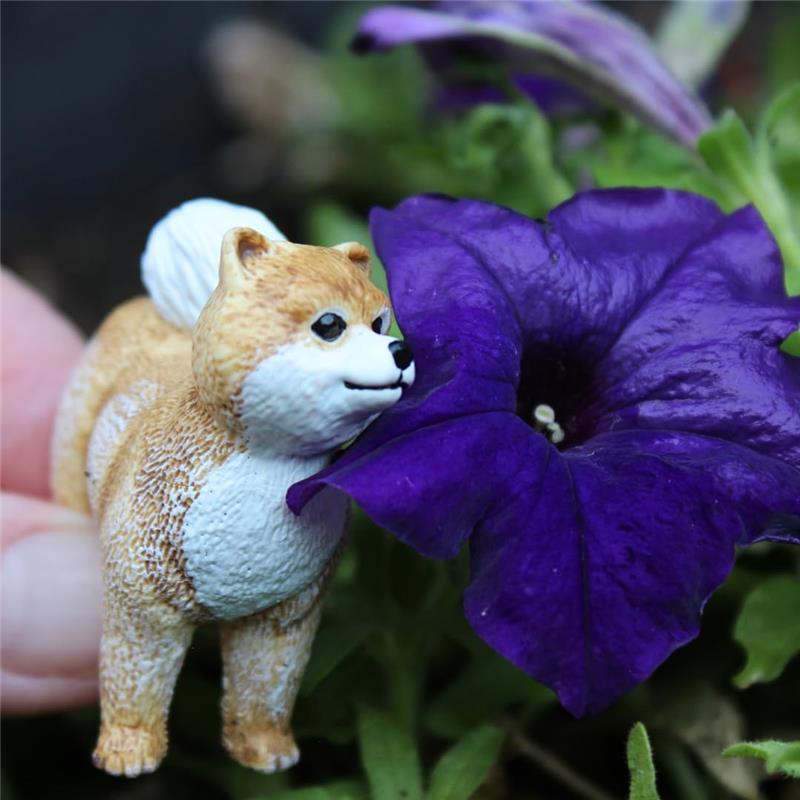 Realistic Pomeranian dog figure beside a vibrant purple flower, highlighting its detailed fur and playful expression.