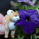 Realistic Pomeranian dog figure beside a vibrant purple flower, highlighting its detailed fur and playful expression.