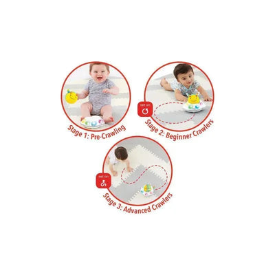 Skip Hop Explore & More Follow-Bee Crawl Toy displayed with three stages: Pre-Crawling, Beginner Crawlers, and Advanced Crawlers, featuring infants engaging with the toy.