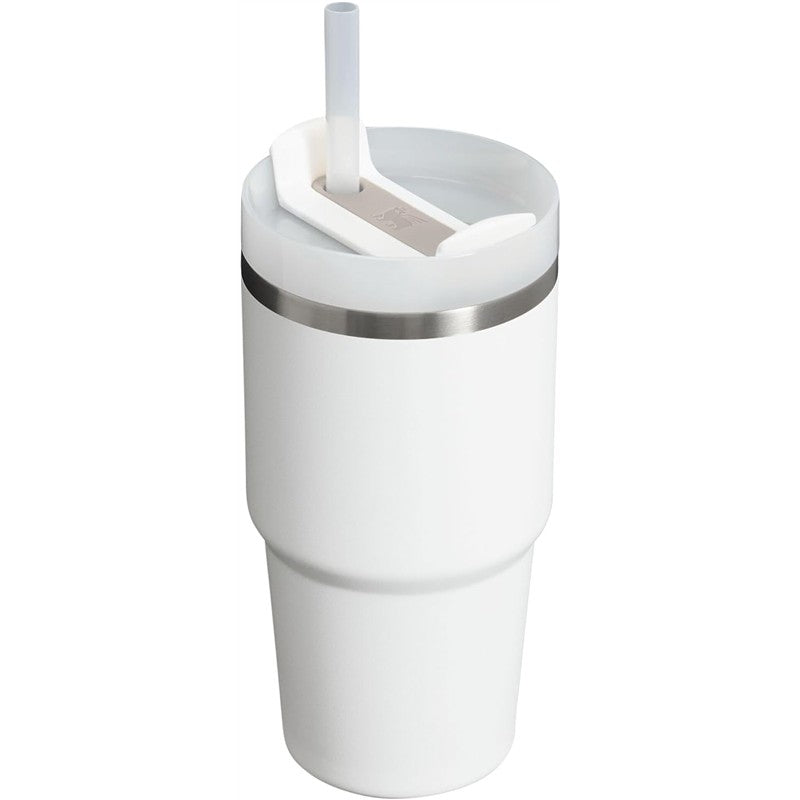 Stanley The Quencher H2.0 FlowState™ Tumbler, 20 oz, in Frost color with a clear straw and silicone lid.