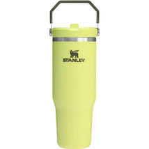 Stanley The IceFlow™ Flip Straw 2.0 Tumbler in Prickly Pear color, featuring a straw lid and stainless steel accents.