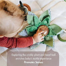 A baby explores a soft, crinkly green flower toy with a bead-ball center on a play mat, fostering tactile development.