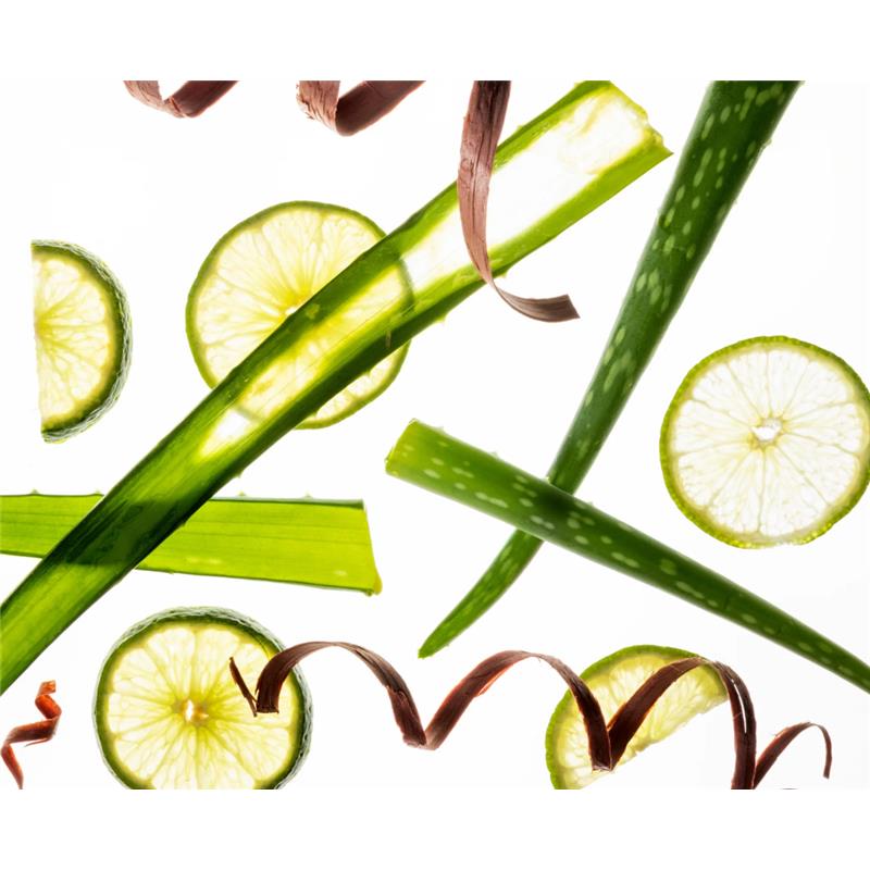 Aloe vera leaves, lime slices, and vegetable peelings are artistically scattered against a white background.