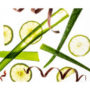 Aloe vera leaves, lime slices, and vegetable peelings are artistically scattered against a white background.