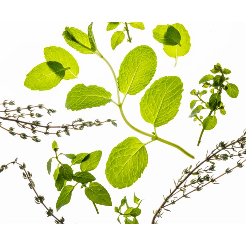 Fresh green mint and thyme leaves arranged on a light background, highlighting their natural texture and color.