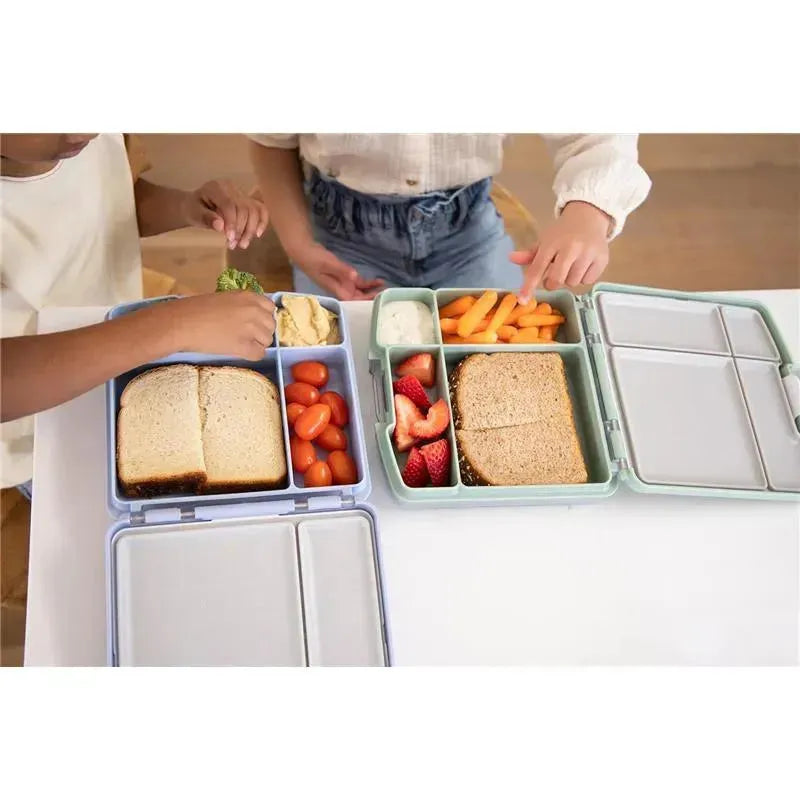 Bento lunch boxes for kids in sage green and light blue, filled with sandwiches, fruits, veggies, and dips on a table.